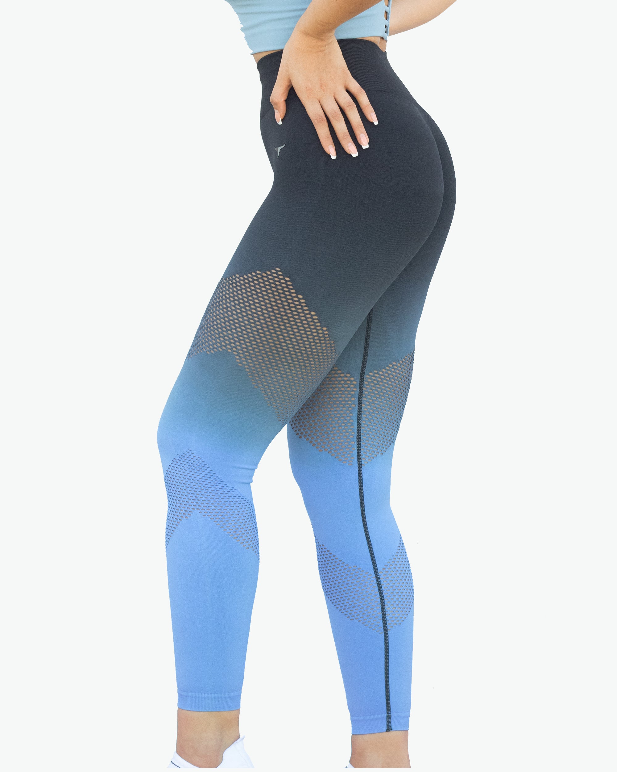 OmbreFlex Hollow Out Gradient Leggings - THUGFIT