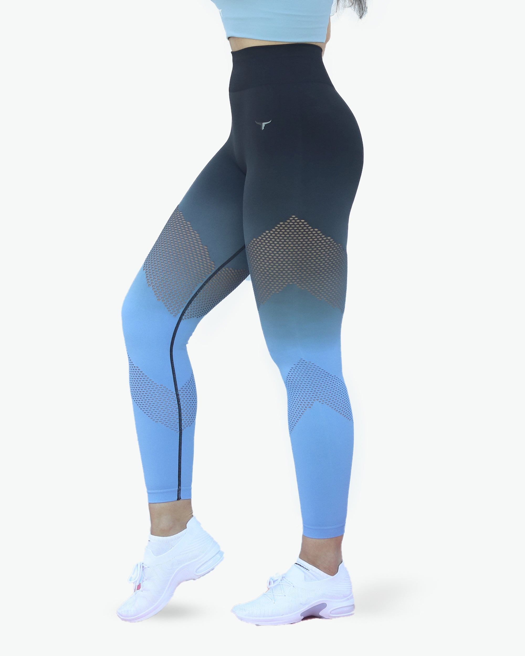 OmbreFlex Hollow Out Gradient Leggings - THUGFIT